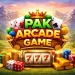 PAK Arcade GAME