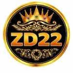 ZD22 GAME